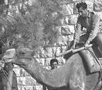 If Deuteronomy forbids riding camels, will the Canadian Jewish Congress kosher-certify air?